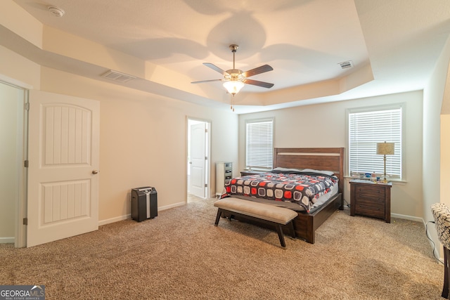 7155 Pine Seed Dr, Midland, GA 31820 - bedroom with a raised ceiling, carpet flooring, and multiple windows