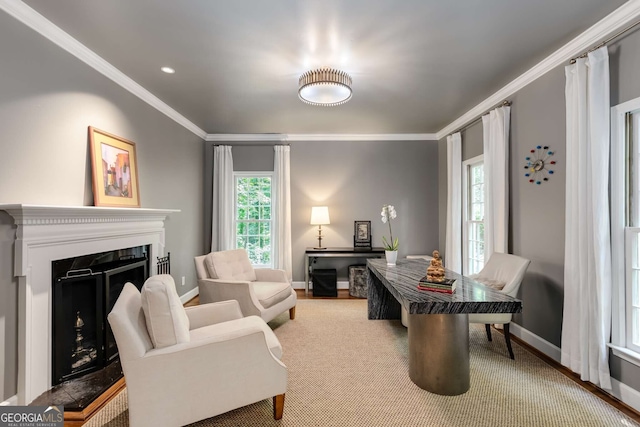 130 River Lndg NE, Sandy Springs, GA 30350 - sitting room with ornamental molding, baseboards, and a fireplace with raised hearth