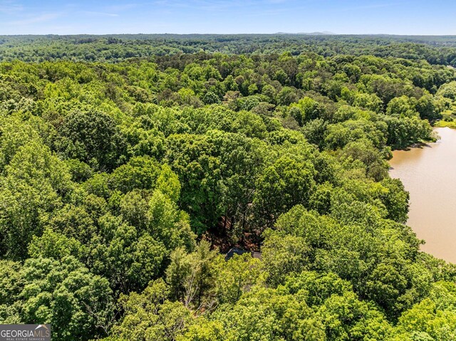 130 River Lndg NE, Sandy Springs, GA 30350 - bird's eye view of a forest and a nearby body of water