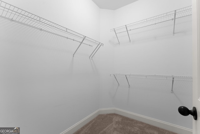 4633 Hidden Creek Dr, Gainesville, GA 30504 - walk in closet with carpet floors