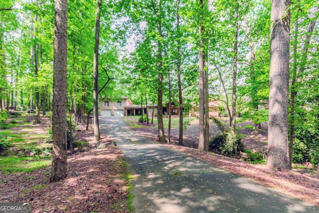 2228 Walker Dr, Lawrenceville, GA 30043 - view of property's community with driveway and a garage