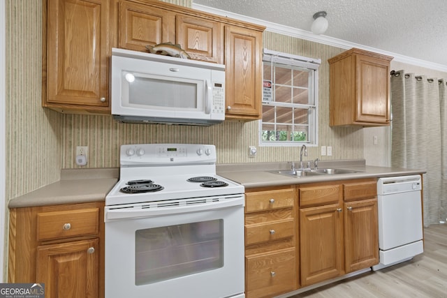 194 Phillips Dr, Eatonton, GA 31024 - kitchen with white appliances, a sink, wallpapered walls, light wood finished floors, and light countertops