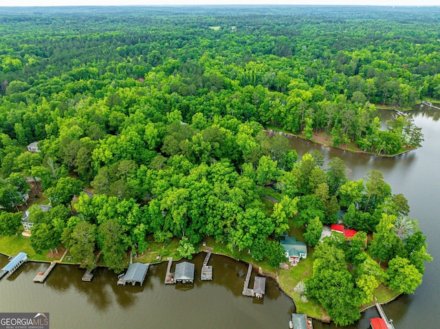 194 Phillips Dr, Eatonton, GA 31024 - bird's eye view of a heavily wooded area and a large body of water