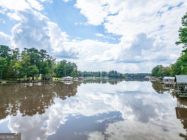 194 Phillips Dr, Eatonton, GA 31024 - water view