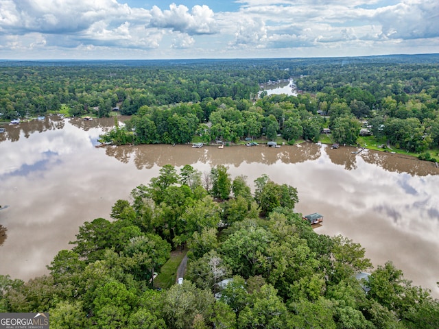 194 Phillips Dr, Eatonton, GA 31024 - bird's eye view of a forest and a nearby body of water