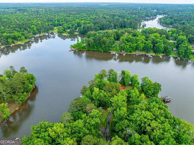 194 Phillips Dr, Eatonton, GA 31024 - aerial overview of property's location featuring a heavily wooded area and a nearby body of water