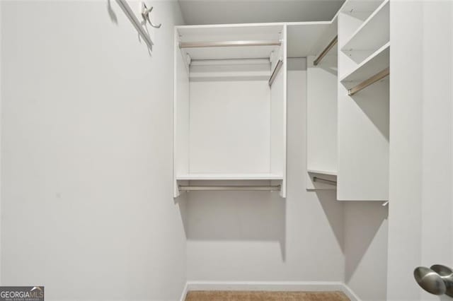 130 W Pier Way, Fayetteville, GA 30214 - view of spacious closet