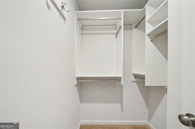 130 W Pier Way, Fayetteville, GA 30214 - view of spacious closet