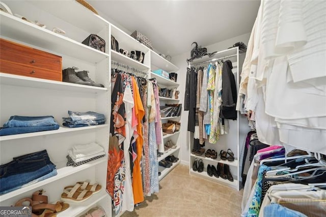 130 W Pier Way, Fayetteville, GA 30214 - view of spacious closet