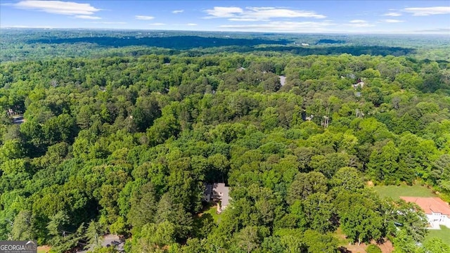 bird's eye view of a forest