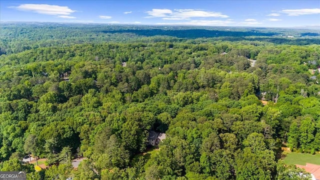 drone / aerial view of a forest