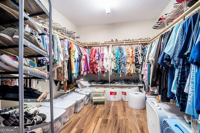 375 Buckwood Trl, Cornelia, GA 30531 - walk in closet with wood finished floors