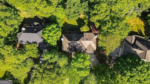 bird's eye view