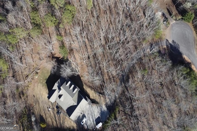 87 Marcus Ct, Ball Ground, GA 30107 - aerial view of property's location