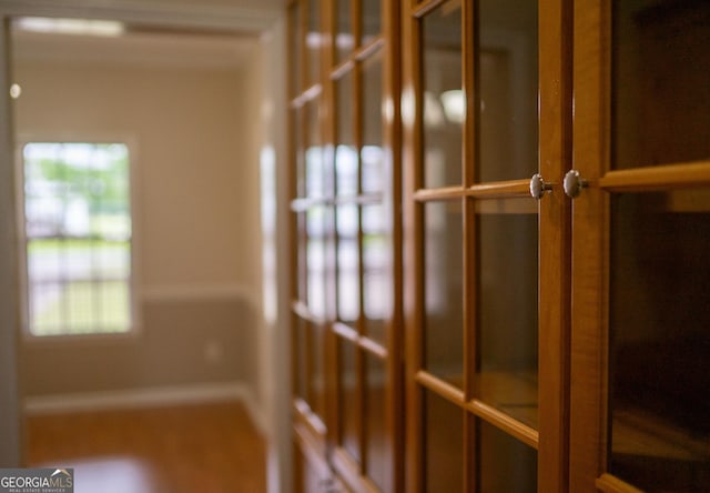 detailed view of french doors