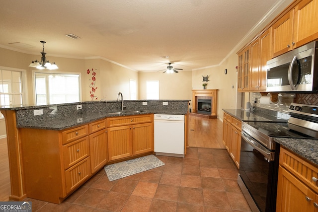 kitchen with stainless steel appliances, a sink, a ceiling fan, a chandelier, and crown molding