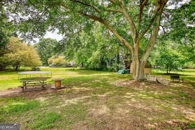 2368 Ellis Ct, Snellville, GA 30078 - view of green lawn featuring a trampoline and view of wooded area
