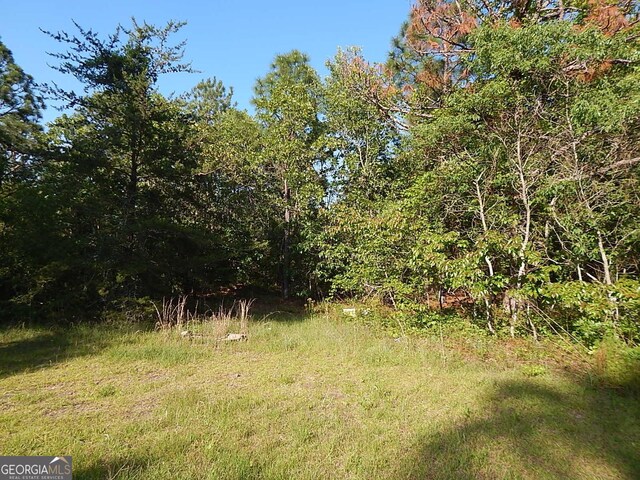 7085 US Highway 341 S, Roberta, GA 31078