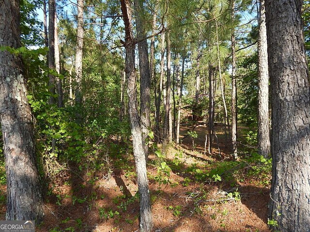 7085 US Highway 341 S, Roberta, GA 31078