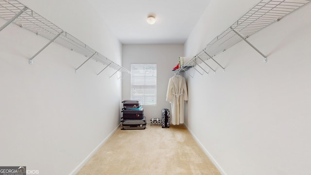 walk in closet with light colored carpet