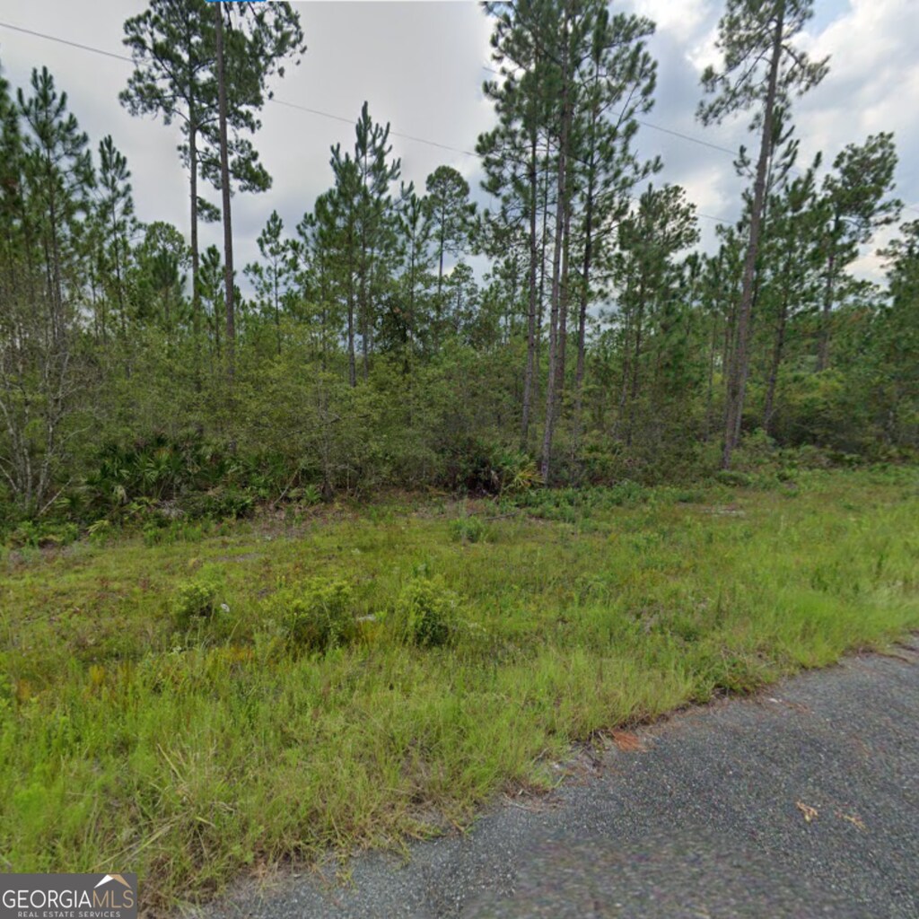33 Fox Ridge Trl, Waynesville, GA 31566