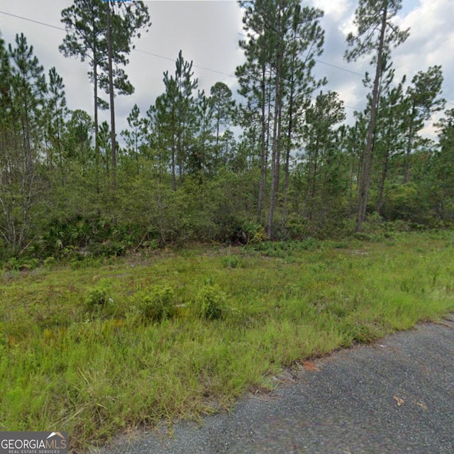 33 Fox Ridge Trl, Waynesville, GA 31566