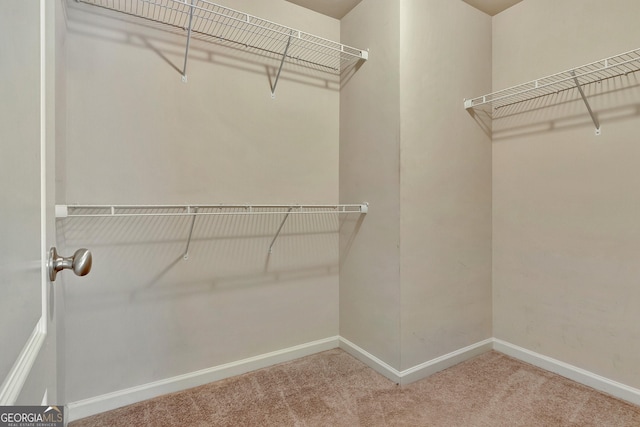 spacious closet with carpet flooring