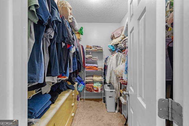 walk in closet with carpet flooring