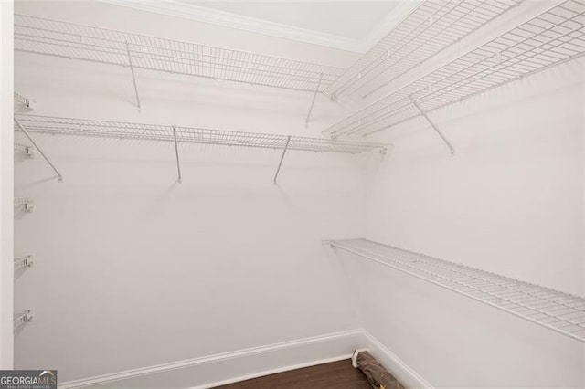 2499 Peachtree Rd NE Unit 503, Atlanta, GA 30305 - view of walk in closet