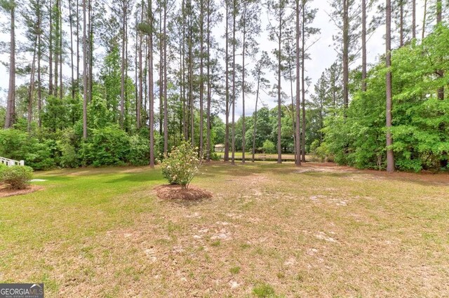 220 Candleberry Way, Guyton, GA 31312 - view of grassy yard