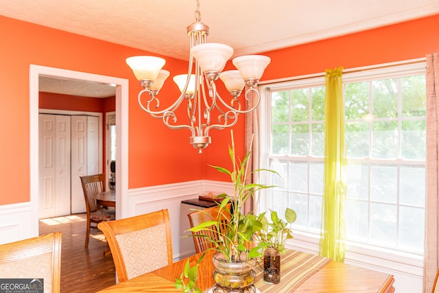 dining space with a chandelier, a decorative wall, a wainscoted wall, and wood finished floors