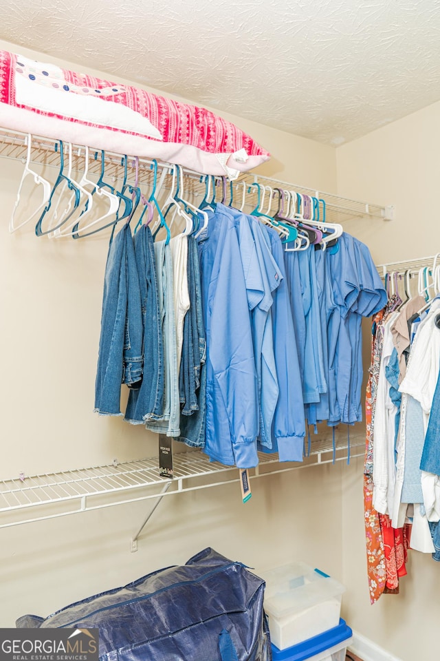 view of walk in closet