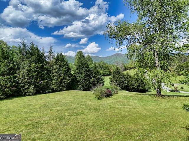 275 Everetts Vw, Blairsville, GA 30512 - view of green lawn with a mountain view