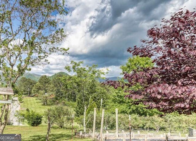 275 Everetts Vw, Blairsville, GA 30512 - view of property's community