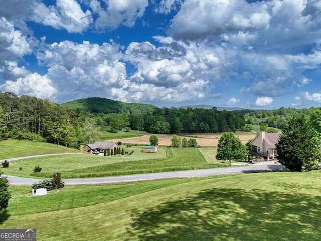 275 Everetts Vw, Blairsville, GA 30512 - view of home's community featuring a wooded view and a yard