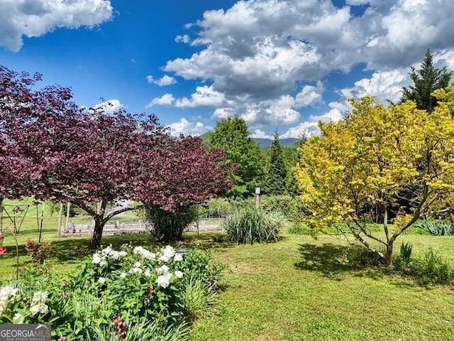 275 Everetts Vw, Blairsville, GA 30512 - view of green lawn