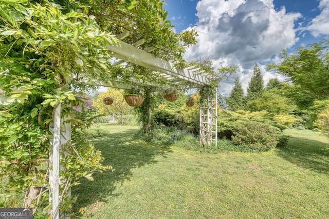 275 Everetts Vw, Blairsville, GA 30512 - view of grassy yard