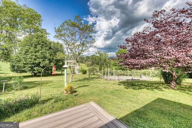 275 Everetts Vw, Blairsville, GA 30512 - view of grassy yard with view of scattered trees