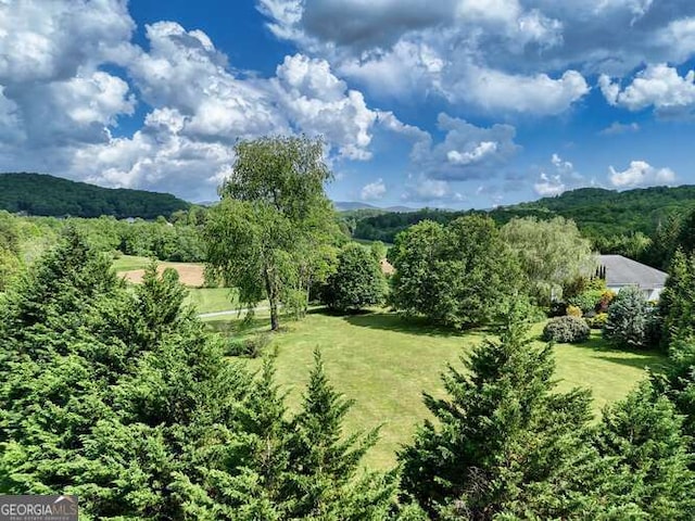 275 Everetts Vw, Blairsville, GA 30512 - view of yard with a view of trees