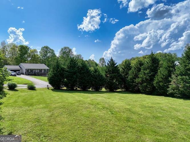 275 Everetts Vw, Blairsville, GA 30512 - view of grassy yard