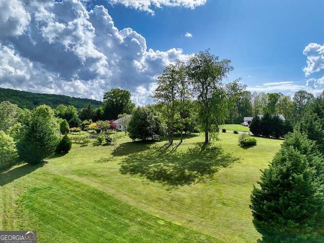275 Everetts Vw, Blairsville, GA 30512 - view of green lawn
