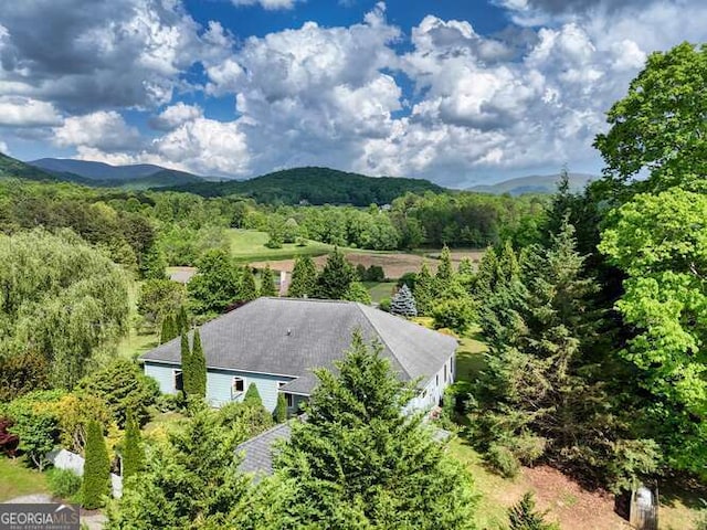 275 Everetts Vw, Blairsville, GA 30512 - view from above of property with a heavily wooded area and a mountainous background