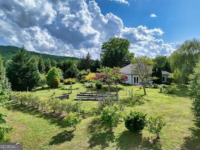 275 Everetts Vw, Blairsville, GA 30512 - view of green lawn with a forest view