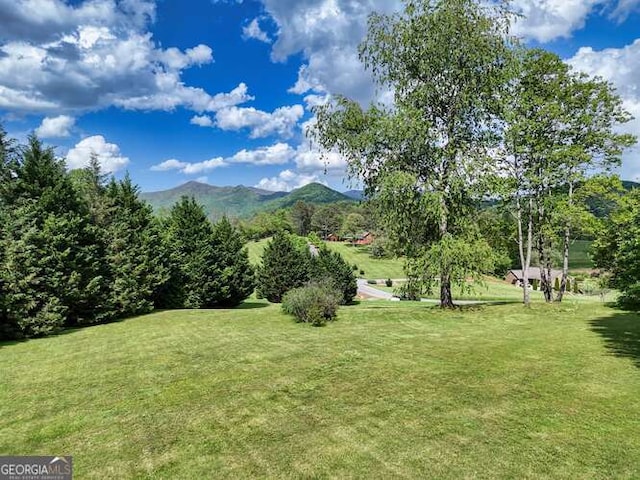 275 Everetts Vw, Blairsville, GA 30512 - view of green lawn with a mountain view