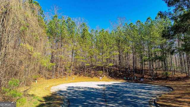 713 Saint Jude Ct, Ellenwood, GA 30294