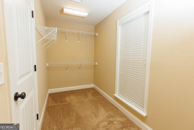 spacious closet with carpet flooring
