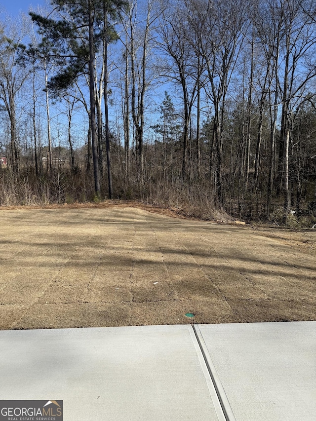115 Vineyard Walk Lot 76, Carrollton, GA 30117 - view of yard