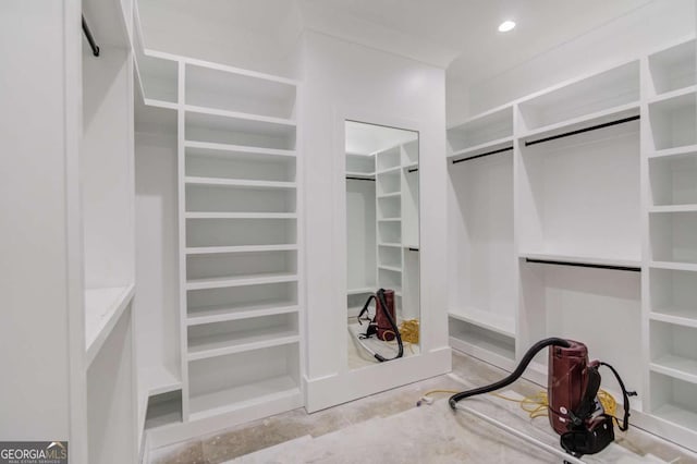 view of spacious closet