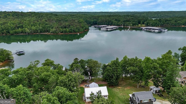 bird's eye view of a heavily wooded area and a large body of water