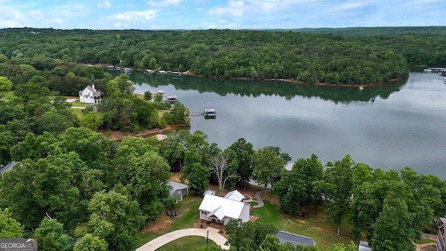 aerial view of a heavily wooded area and a large body of water